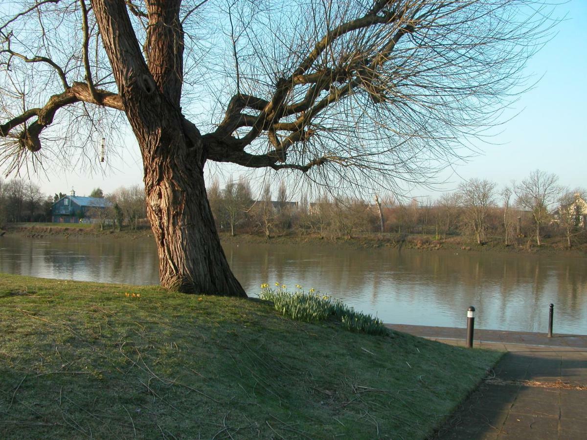 Chiswick Riviera With Free Parking Bed & Breakfast ลอนดอน ภายนอก รูปภาพ